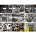 Tea manufacturers, Tea factory, Tea supplier